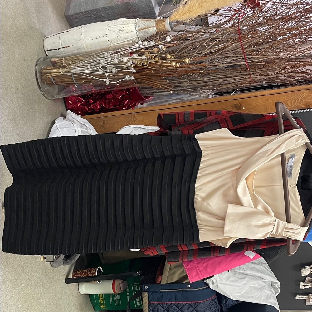 Maggy London Cream and Black Dress